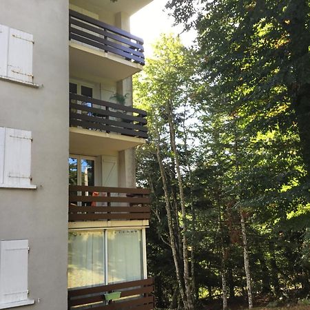 Apartamento Lo Cantalés d’Aubrac Laguiole Exterior foto