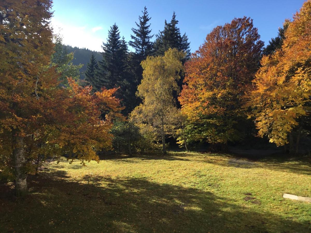 Apartamento Lo Cantalés d’Aubrac Laguiole Exterior foto