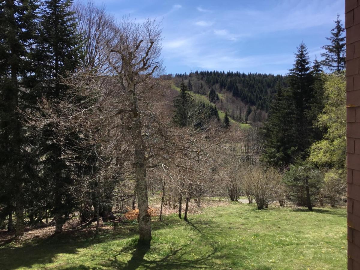 Apartamento Lo Cantalés d’Aubrac Laguiole Exterior foto