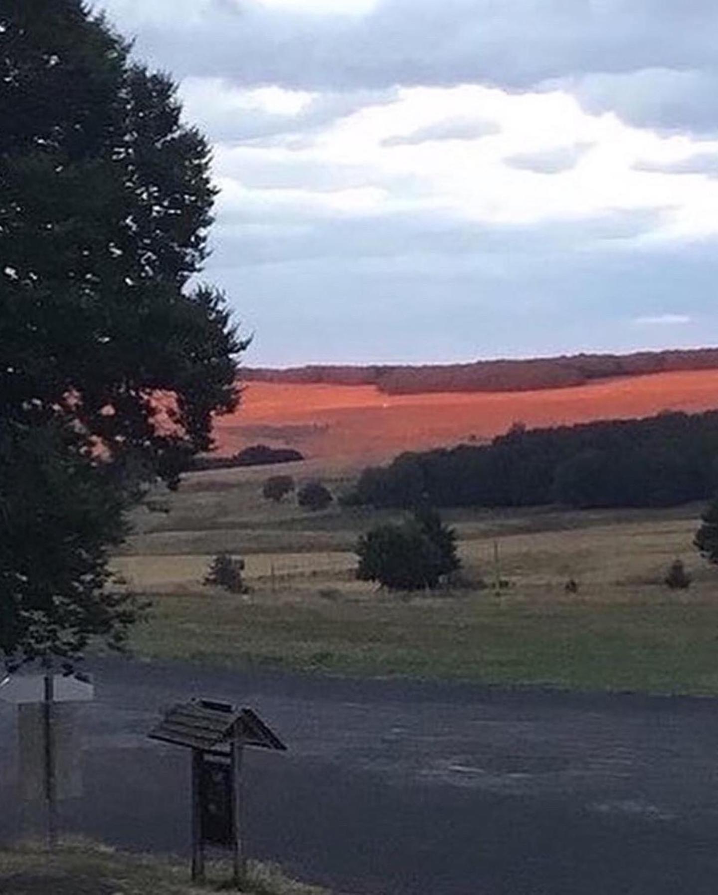 Apartamento Lo Cantalés d’Aubrac Laguiole Exterior foto